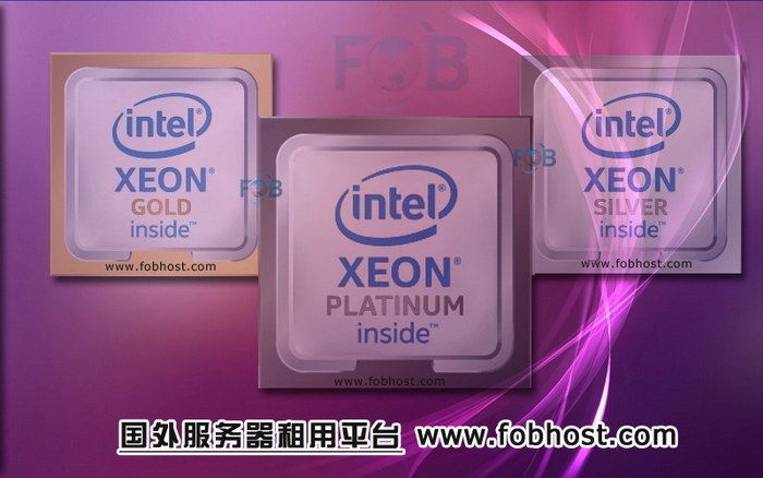 满足特殊需求的定制化解决方案，欧盟各国服务器为您打造