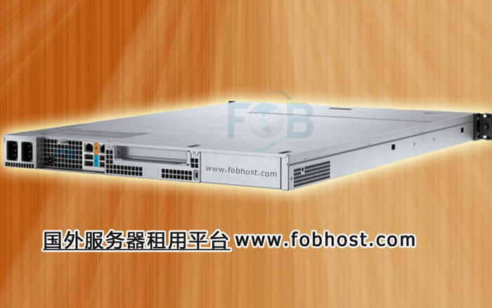 网络建设助力政府服务数字化转型