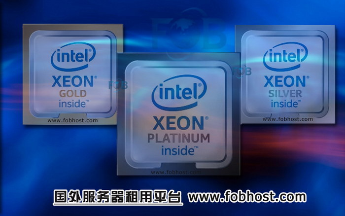 欧盟服务器的多样化编程语言选择给用户带来了什么？